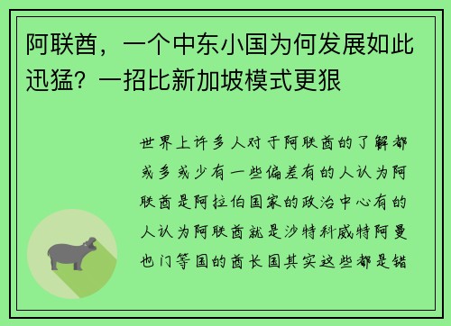 阿联酋，一个中东小国为何发展如此迅猛？一招比新加坡模式更狠